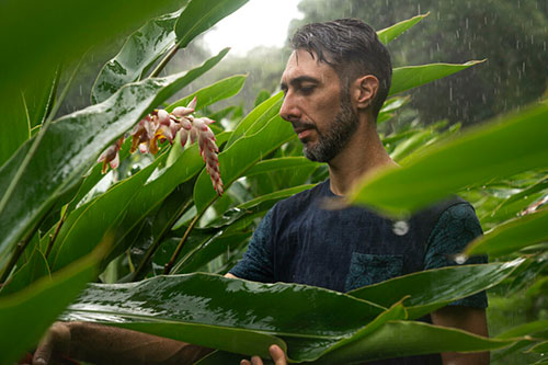 Rémi Asensio, Herboristerie Créole, Martinique